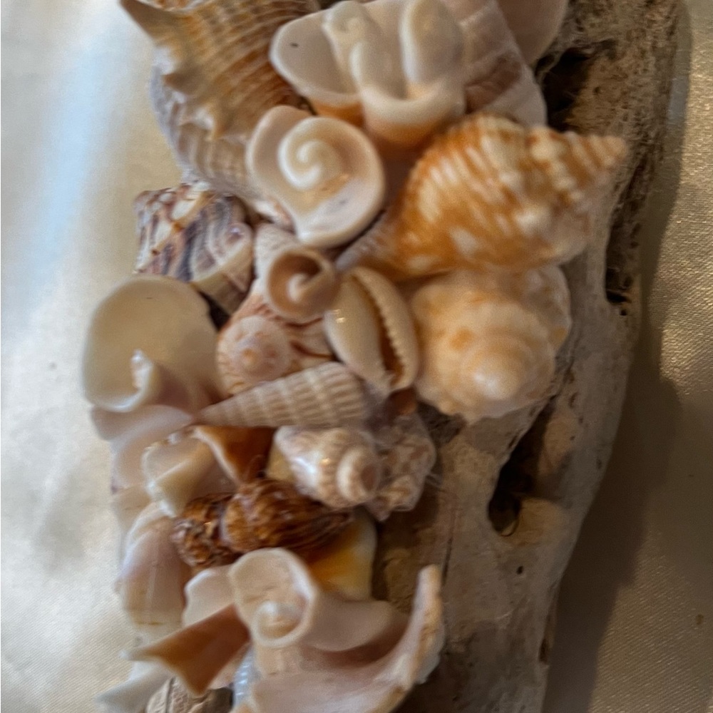 Handmade Seashell Driftwood Art - Picture 5 of 6